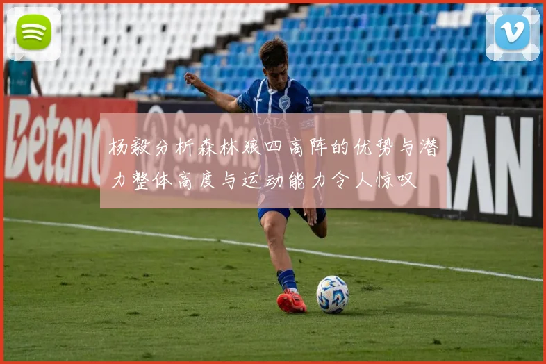 杨毅分析森林狼四高阵的优势与潜力整体高度与运动能力令人惊叹