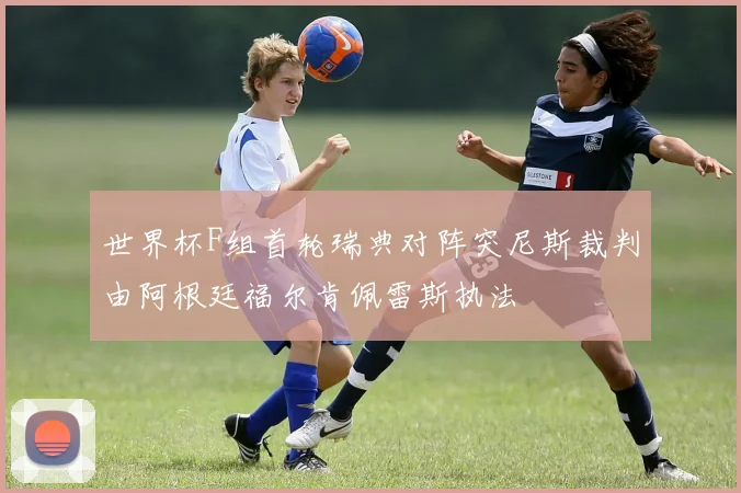 世界杯F组首轮瑞典对阵突尼斯裁判由阿根廷福尔肯佩雷斯执法